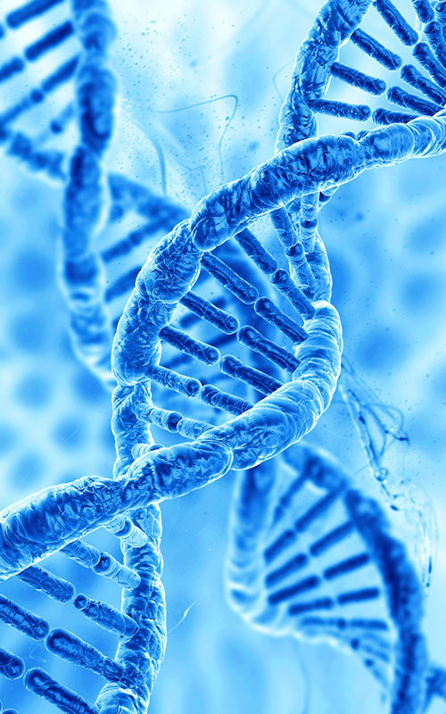 Anhua Bio ले PDRN उत्पादन सुरु गर्‍यो: सिंथेटिक जीवविज्ञानको साथ टिस्यु रिजेनरेशन कच्चा पदार्थको विश्वव्यापी आपूर्ति श्रृंखलाको पुनर्निर्माण गर्दै